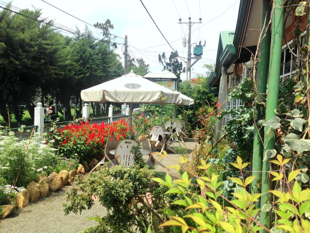 Colling Wood Hotel 努沃勒埃利耶 外观 照片